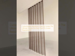 अनुकूलन योग्य एल्यूमीनियम चेन फ्लाई स्क्रीन आपकी चेन फ्लाई स्क्रीन आवश्यकताओं के लिए अंतिम समाधान